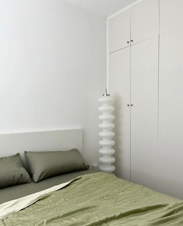 30岁独居女主，因太会布置而走红，把63小家装得堪称收纳教科书