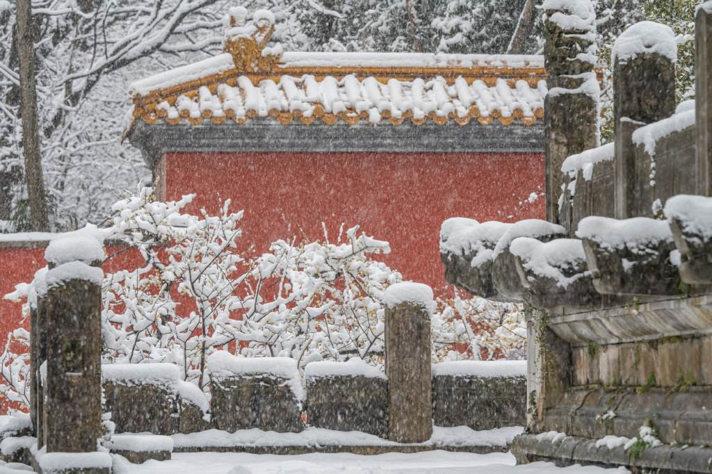 南京|雪后的南京美如画，院子里更是银装素裹，一波实拍图奉上