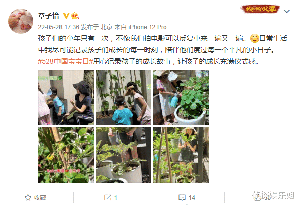 章子怡|章子怡晒儿女种菜，醒醒晒黑弟弟长高，汪峰视角下子怡素颜罕曝光