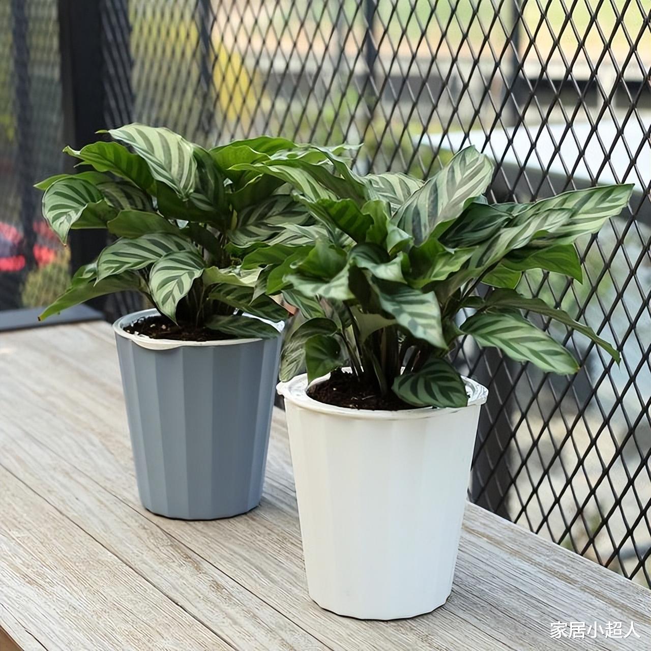 通风去甲醛就只是开窗户?别傻了,这样做根本不能去甲醛!