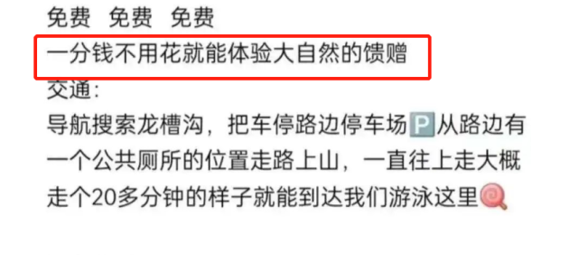 露营|7人丧命！夺命悲剧背后，谁是幕后推手？