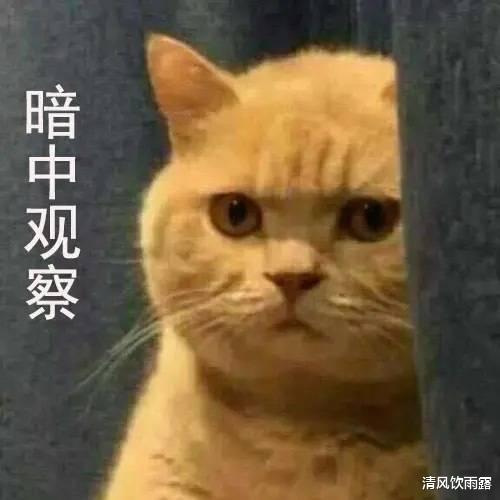 郭麒麟|一个热吻被挂4天，郭麒麟发文回应后，车库再次被偷拍同进同出