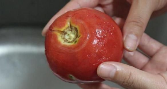 西红柿|与西红柿相克的食物有哪些?两者尽量不要一起食用,不要不放心上