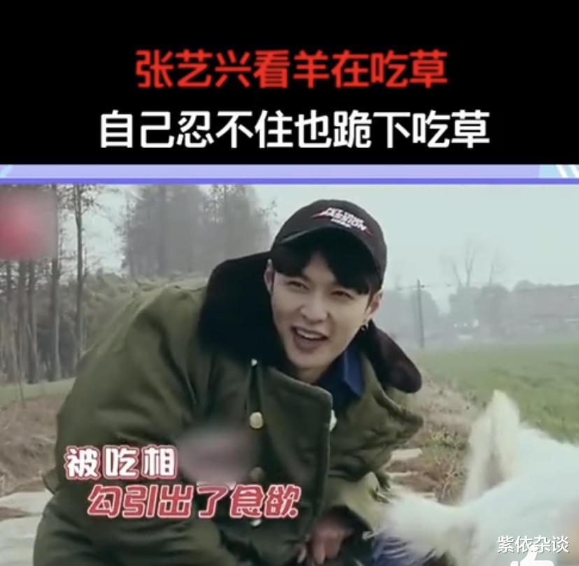 张艺兴|华语乐坛最尴尬的“顶级”流量，除了华晨宇，还有蔡徐坤、张艺兴