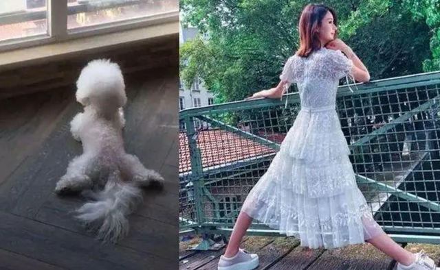 赵丽颖|85星给金主生娃,和男星假结婚被实锤,赵丽颖、苗苗、杨颖受牵连