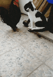 姐姐|姐姐让我陪她去钓鱼，我应该怎么怎么办？感觉谁也顶不住啊