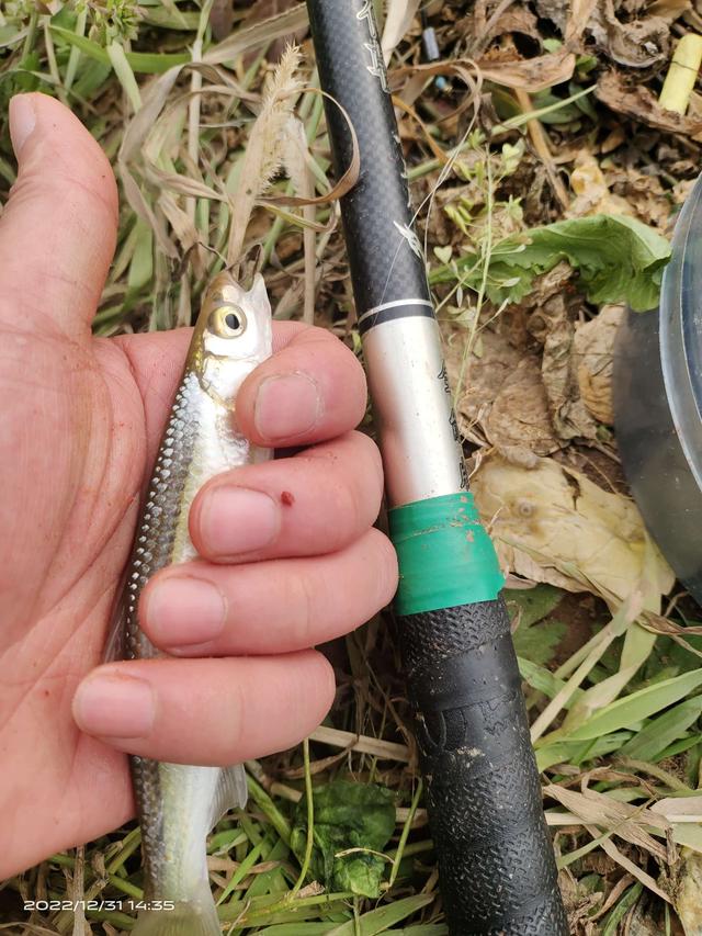 |前有姆巴佩的帽子戏法,今有旅li三戏大板鲫