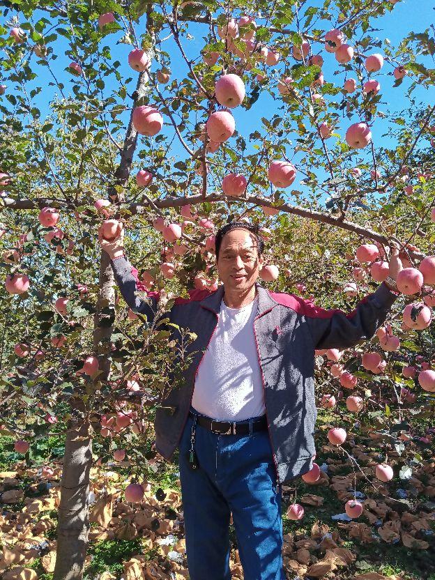 交通法规 清晨爱车准备出发