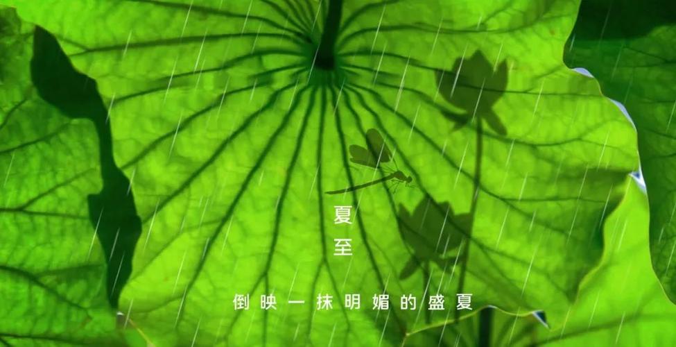 北回归线|二十四节气之夏至