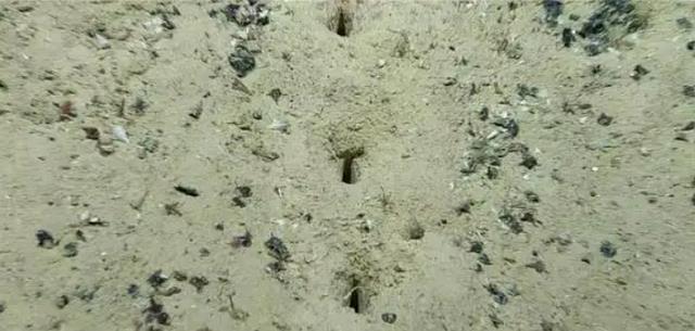 大西洋海底的神秘孔洞,是外星人巢穴?还是史前文明遗址?