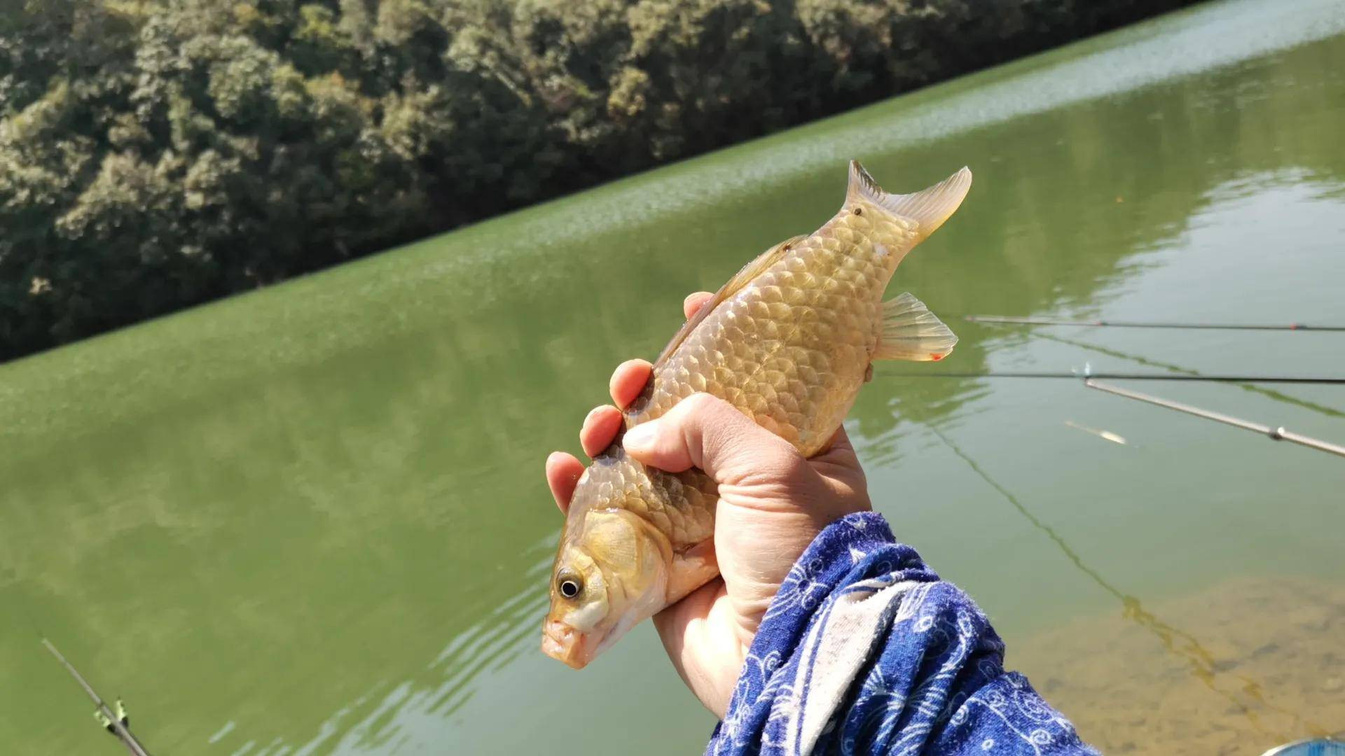 |夏季选钓位留意必要的细节，不然出鱼的好钓位，也可能钓得稀碎