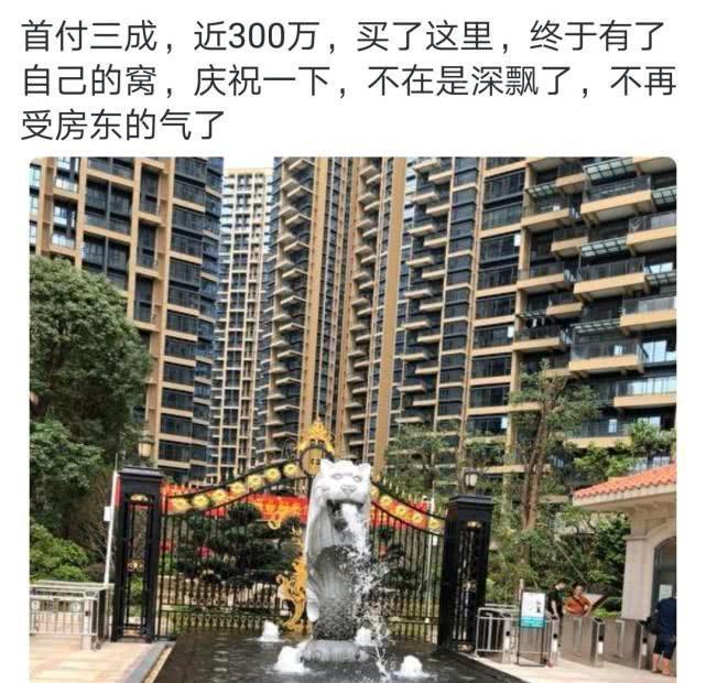深圳市|大厂程序员发帖：首付300万买了深圳的房子，终于有了自己的窝