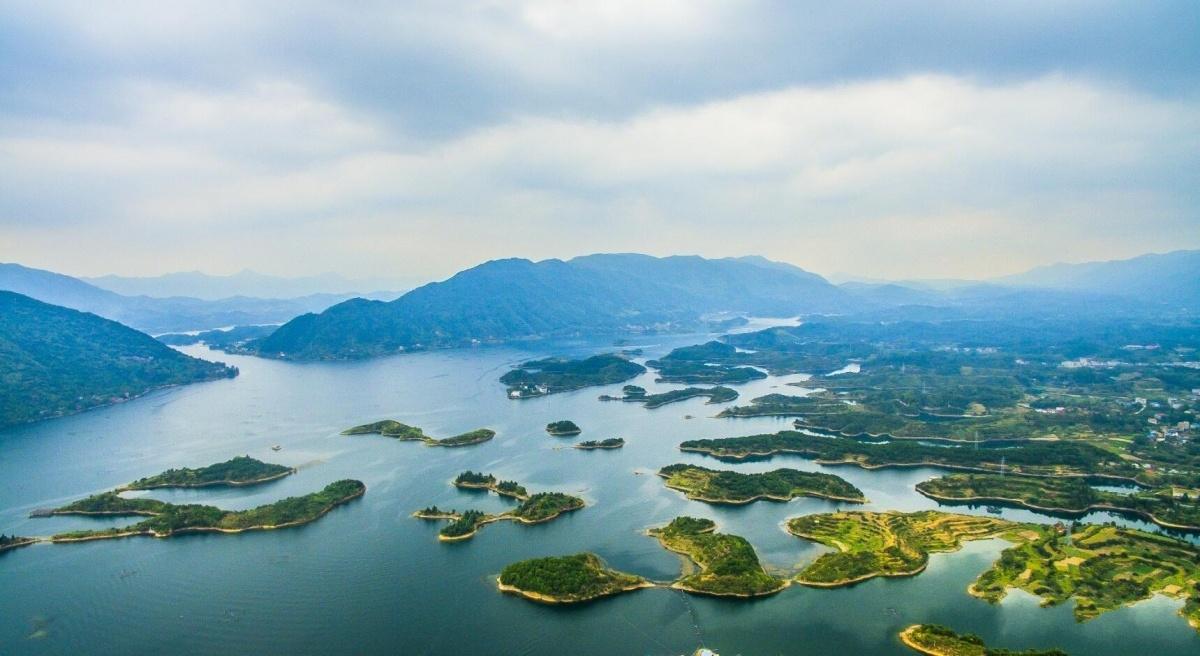 鲢鳙|哪个省份钓友多?对这个钓鱼大户众说不一,看我是怎么排位的