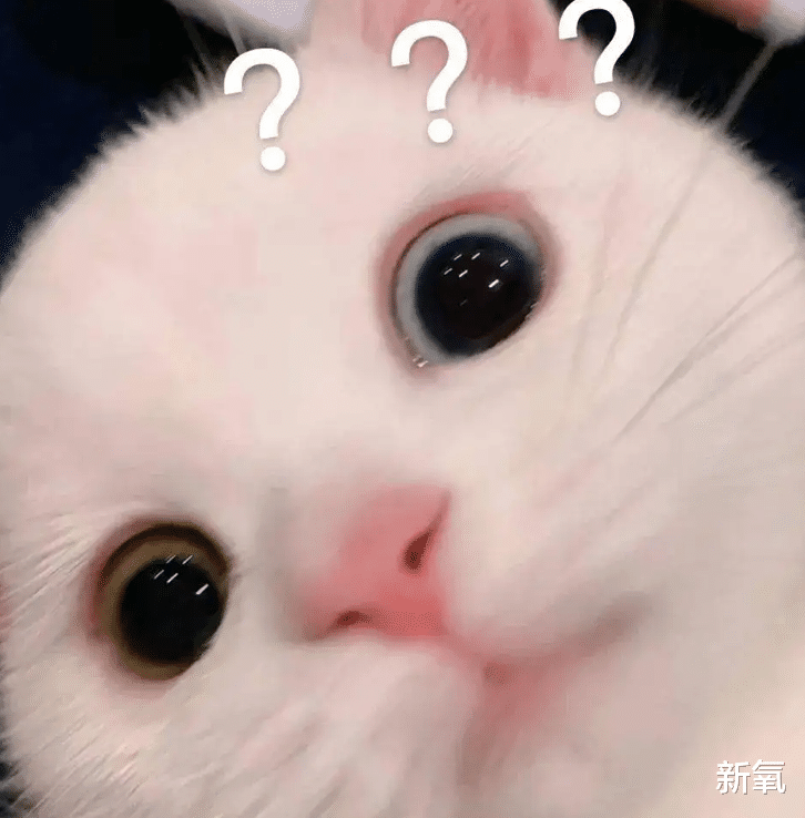 杨幂录节目受伤？五官位置里权值第一的是？