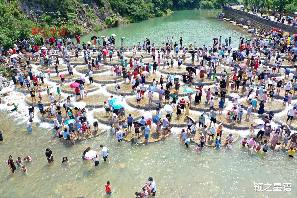 人大常委会|这个地方好神奇,红杉林、芦苇荡和鱼鳞坝,美出天际昙花一现