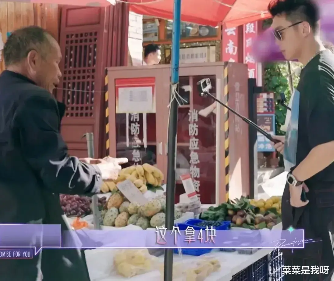 郑凯|节目播出后,网友有些不信了,难道说郑凯这么大一个明星,居然没吃过无花果?