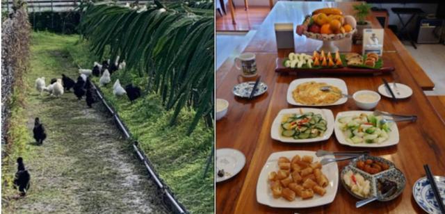 田丽|“性感女神”田丽，敢说敢露两婚两离，她却是父母眼中最乖的女儿