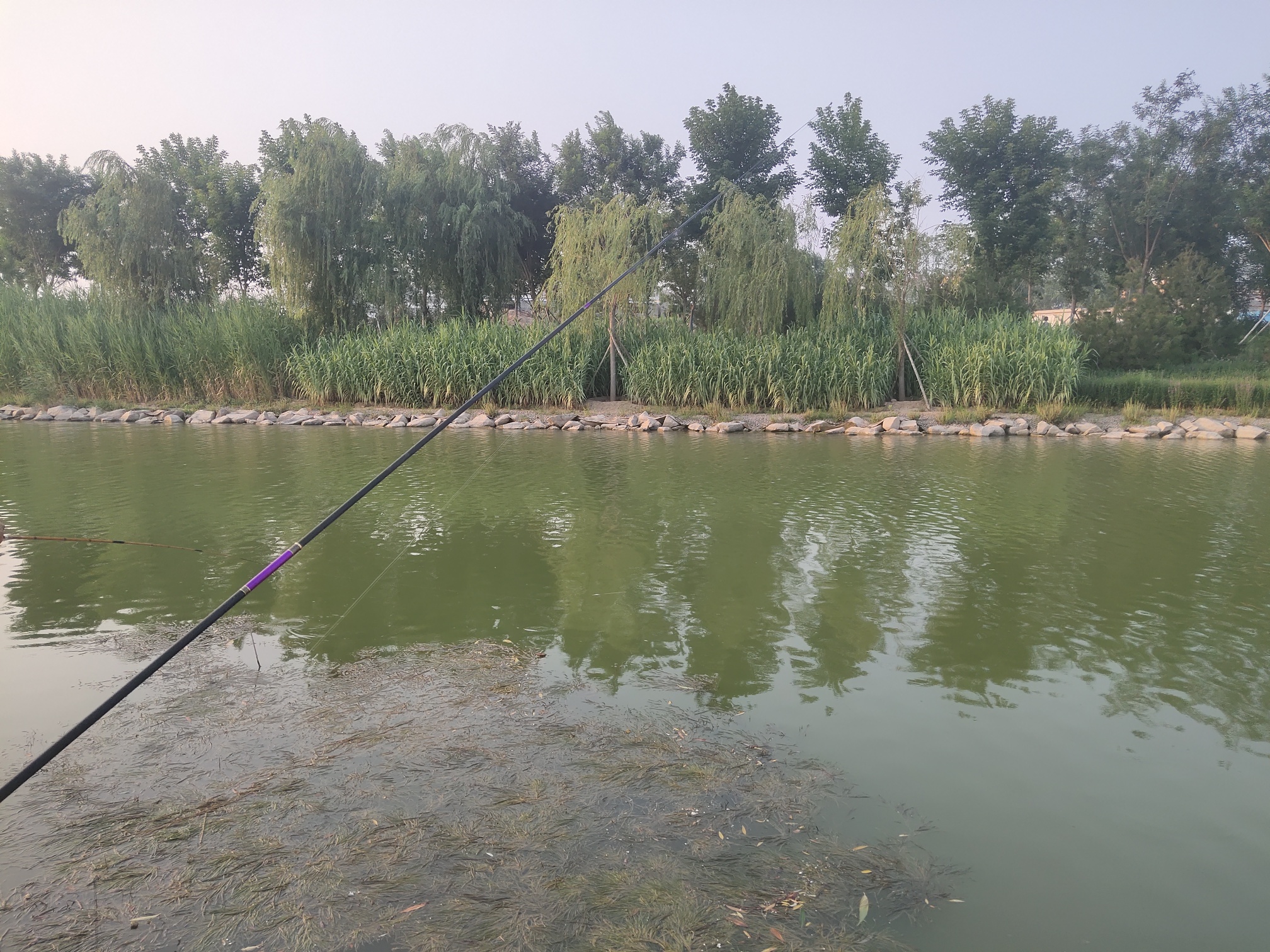 |散心遇见朋友,蹭掉一碗鱼