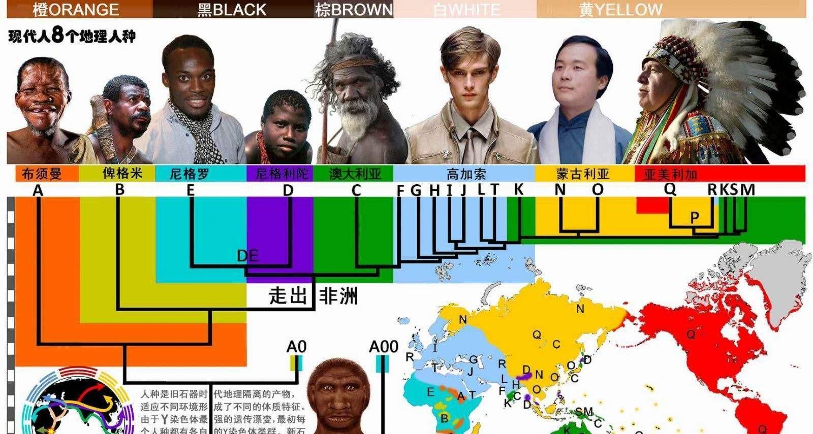 为何脱毛?114万年前人类褪去毛发,留下腋窝、阴毛究竟有啥用?