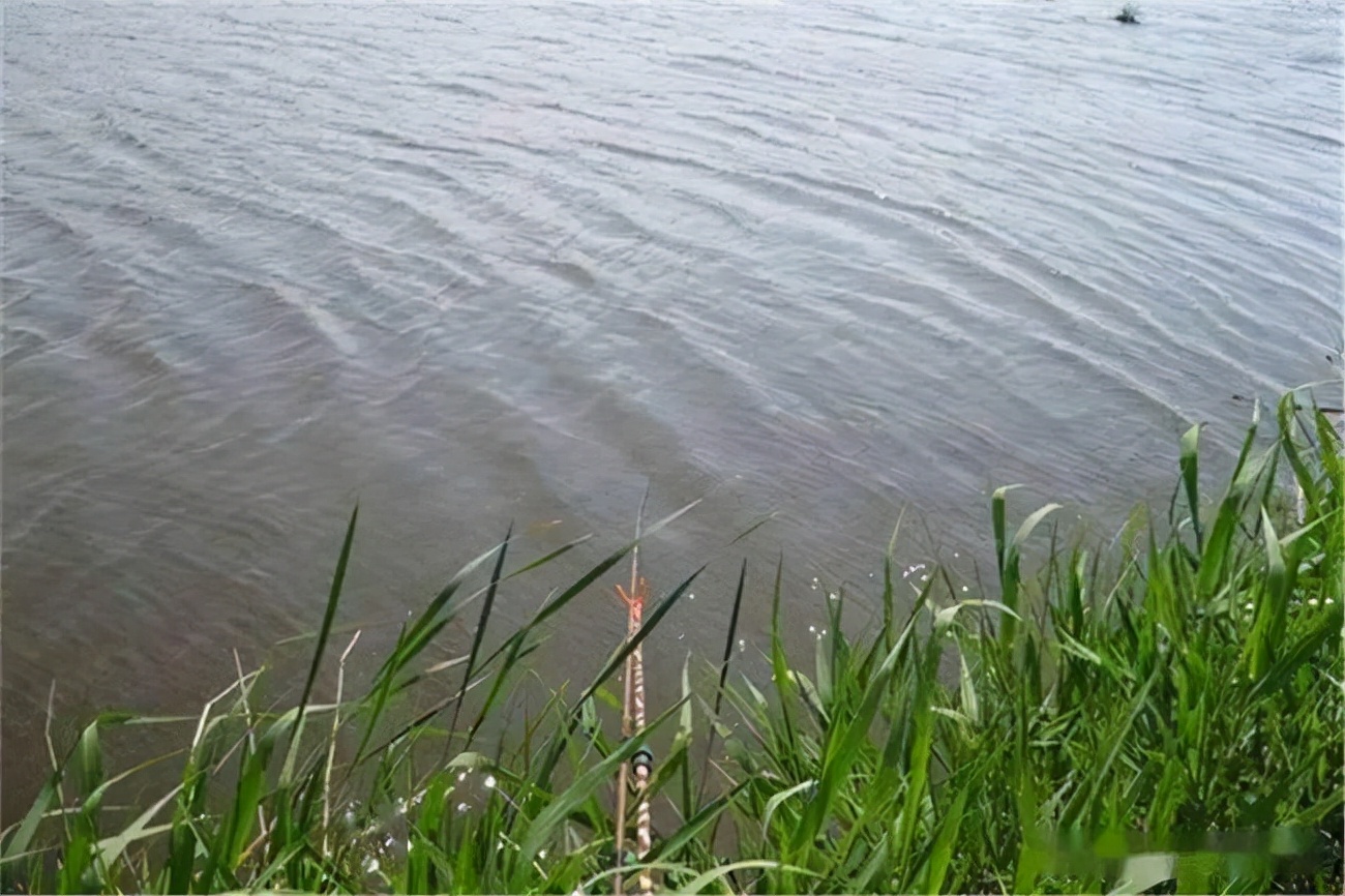 |选对春钓的天气和时间段！让你“狂拉”到手软