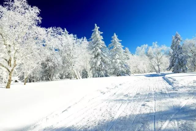 织金|雪乡不远的一个地方，叫海参崴