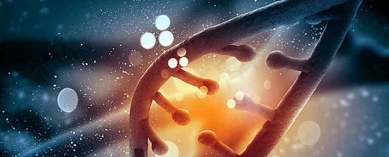 发现“永生”契机?移植龙虾基因后,人类或将突破基因限制!