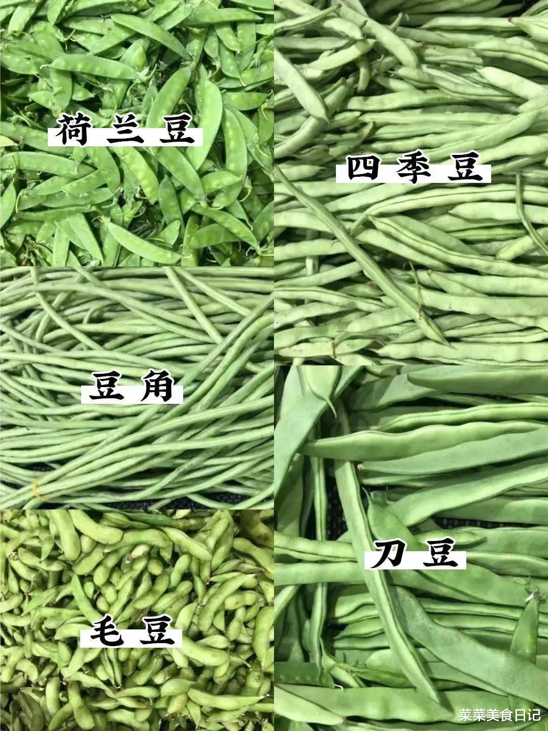 厨房老手教你正确囤菜！掌握这几步，一个月不用去菜市场！