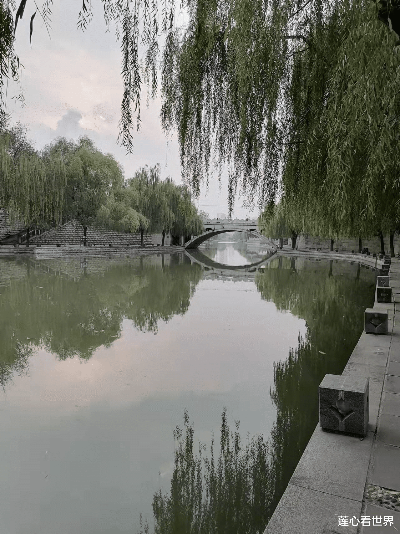 茶园|盘点济宁城区的三大水景
