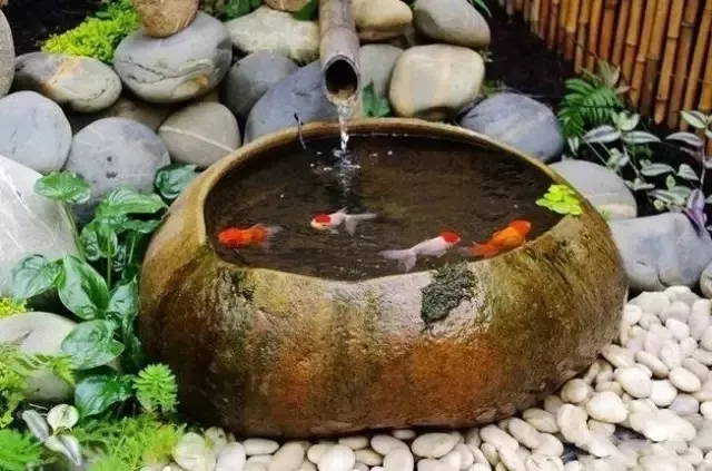 |一楼带庭院的户型，如何驱蚊防虫？
