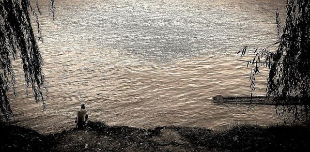 steam|男子野钓一无所获，意外捞起1条会走路的“怪鱼”，网友：被电了