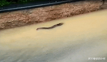 win8|为什么win8后就是win10，win9哪去了？笑死了