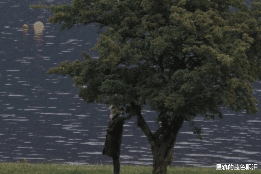 狮子座|软硬不吃的星座,底线不容践踏,原则性相当高,不为五斗米折腰