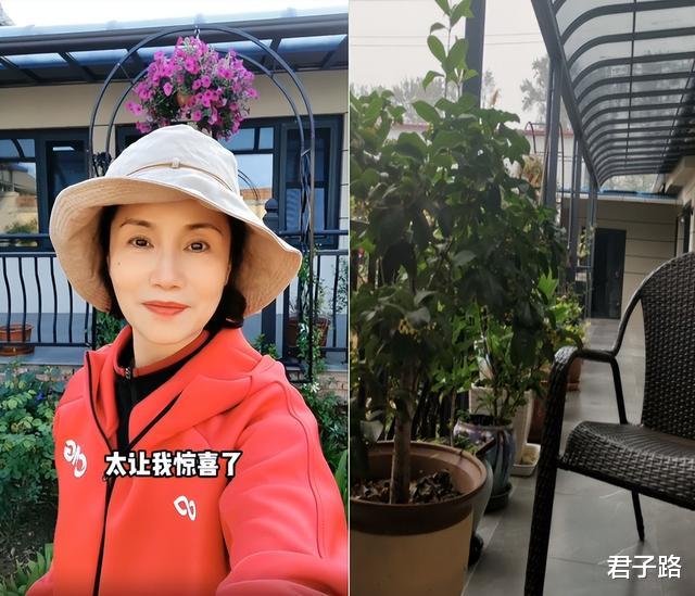 央视徐俐分享居家日常,晒出自种的牡丹花,庭院面积宽敞装修简奢