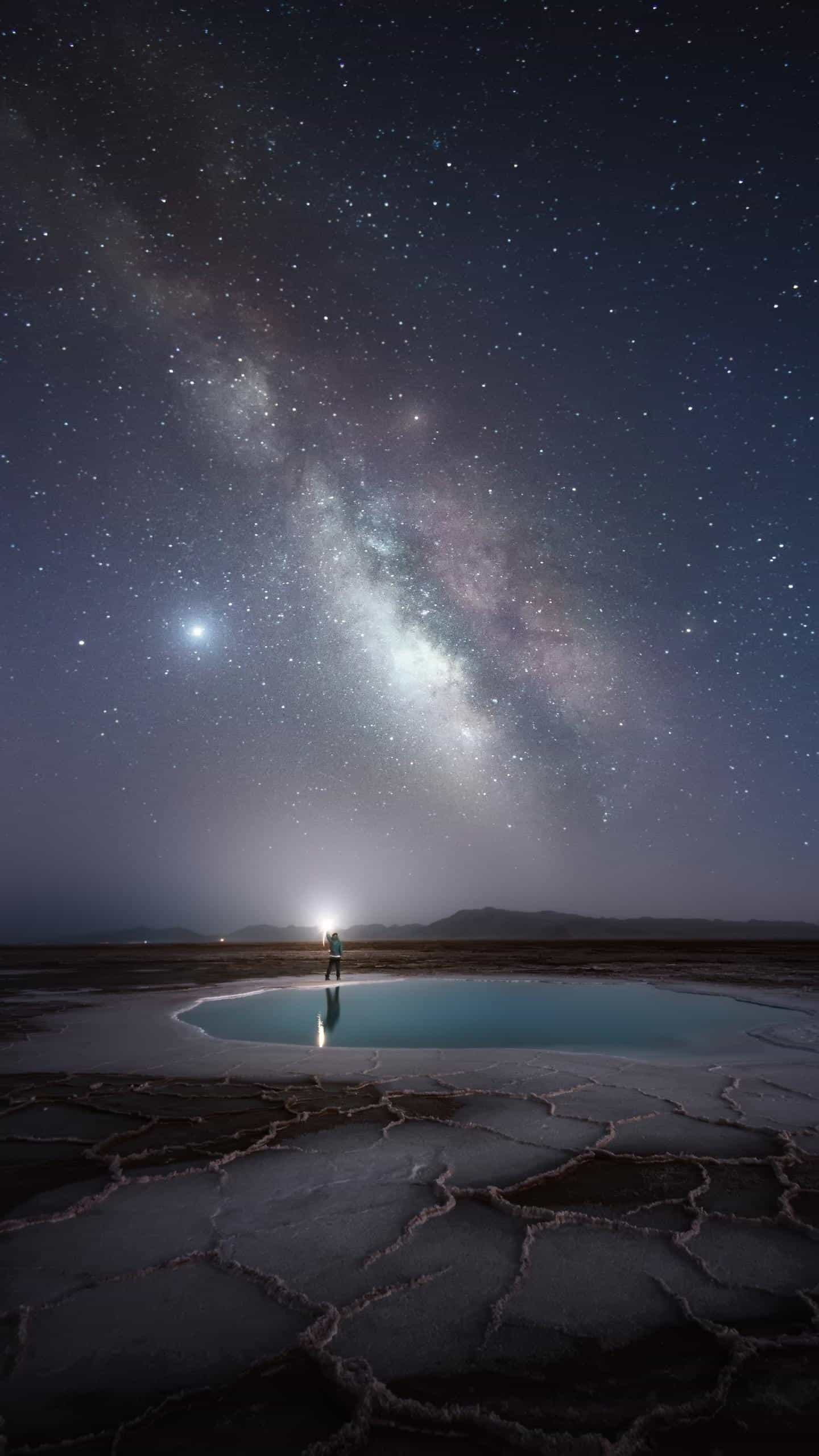 郁金香抗抑郁 世上没有完美的父母，我们只能自己解放自己。