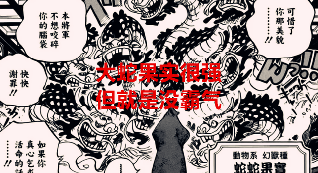 海贼王|海贼王1047话分析：尾田为何强调罗杰不是能力者？他或许是在补丁