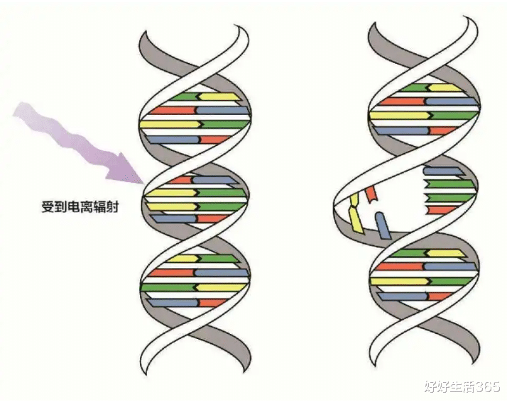 往海洋里排核废水,危害远比大家想的恐怖,稍微给大家讲讲