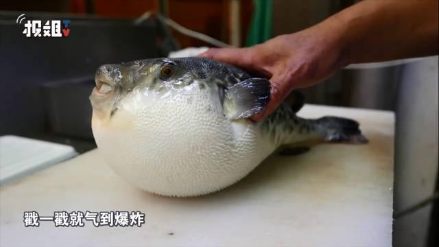 柯洁|遗憾！阻挡得了申真谞却敌不过金志锡！柯洁半目出局