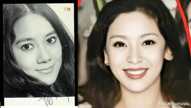 郑伊健|照着前任找现任？这几位男明星是爱屋及乌，还是纯属巧合？