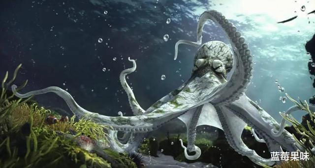 能预测世界杯,还拥有再生能力,章鱼真的不是外星生物吗?