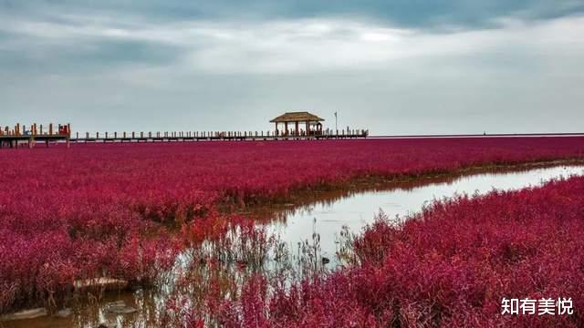 九寨沟|不用出国！国内这12大世界级风景美得不可思议！你去过几个呢？