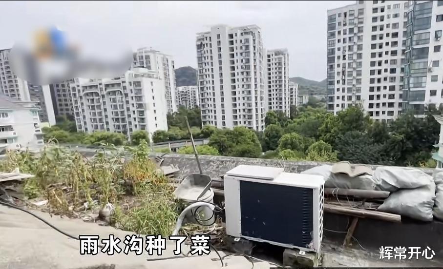 男子房子被淹,租客半夜舀了100多盆水,只因“犟”大爷楼顶种茄子!