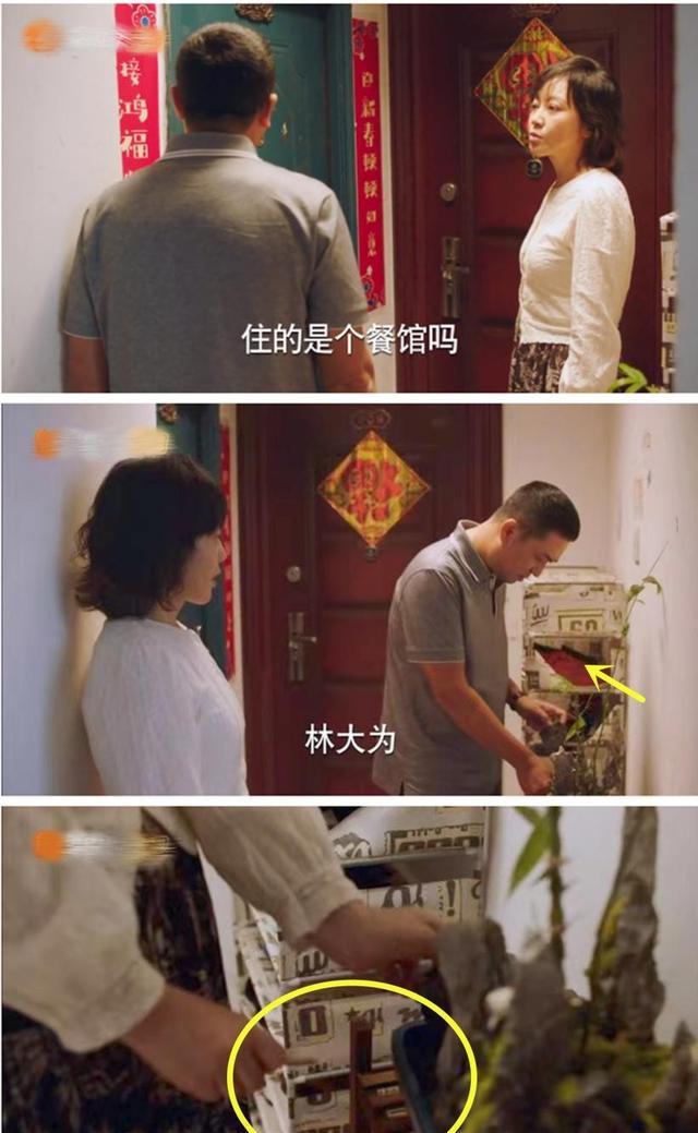 林妙妙|少年派2:晒晒林妙妙的出租房,独居温馨一居室,让人羡慕!