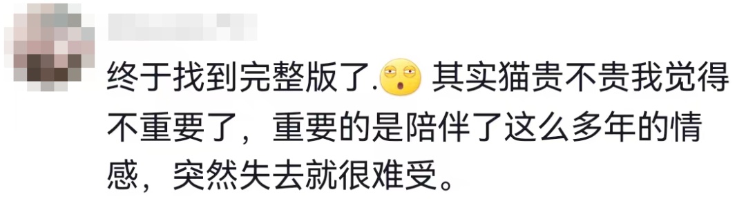 价值 23 万缅因猫坠楼,保姆被扣 9000,保姆需要负责你怎么看?