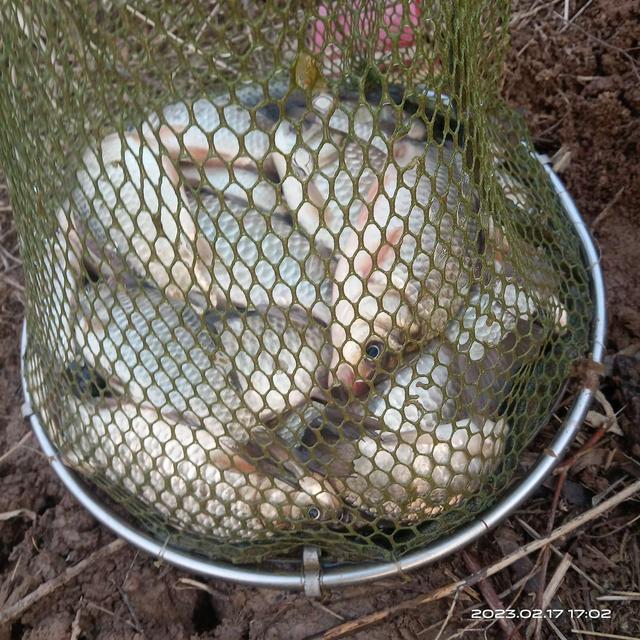 |初春野钓：钓深钓浅要灵活，这样钓渔获很理想