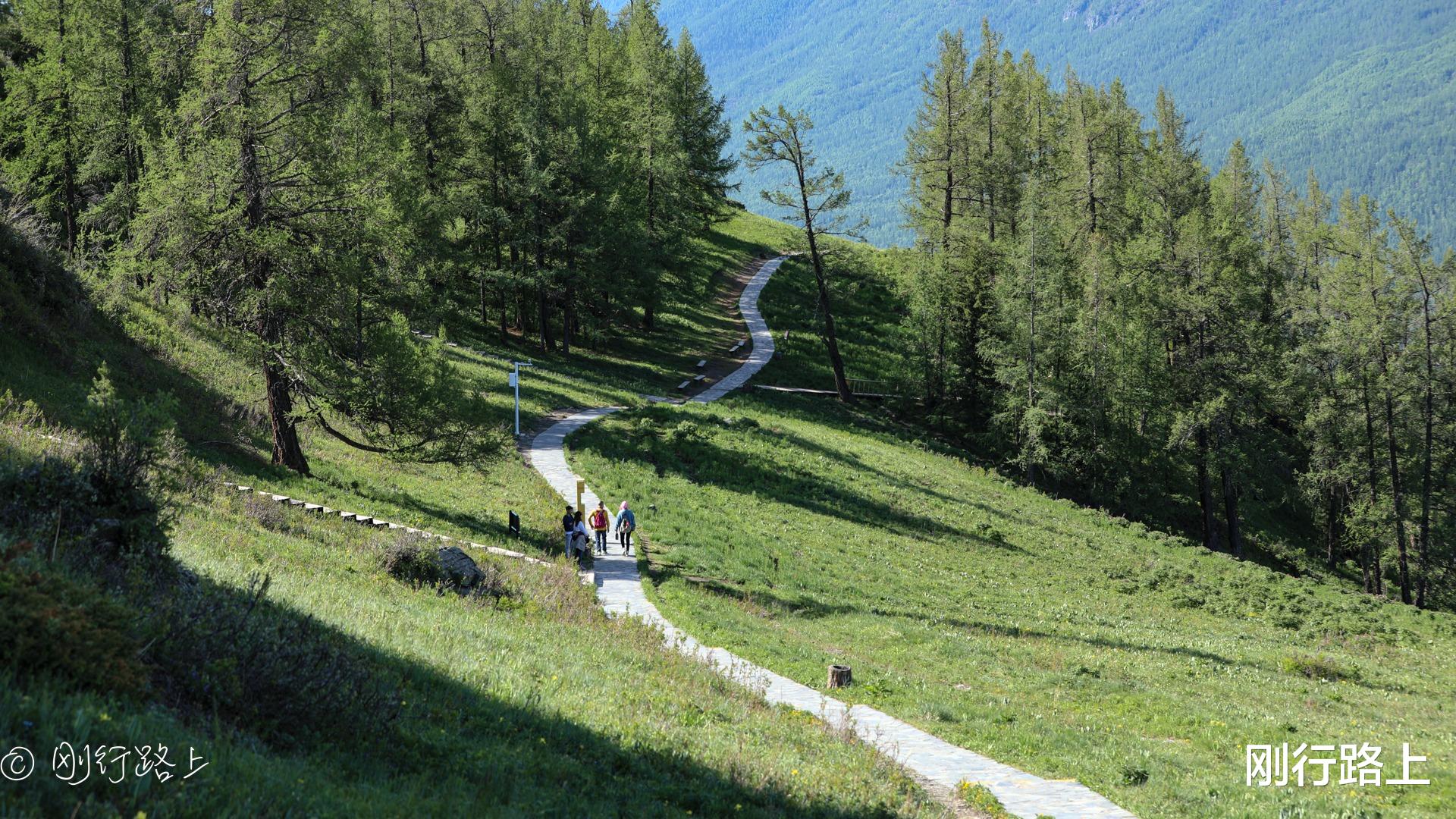 昆明|北疆旅行的精华：喀纳斯地质公园，被誉为“神的后花园”
