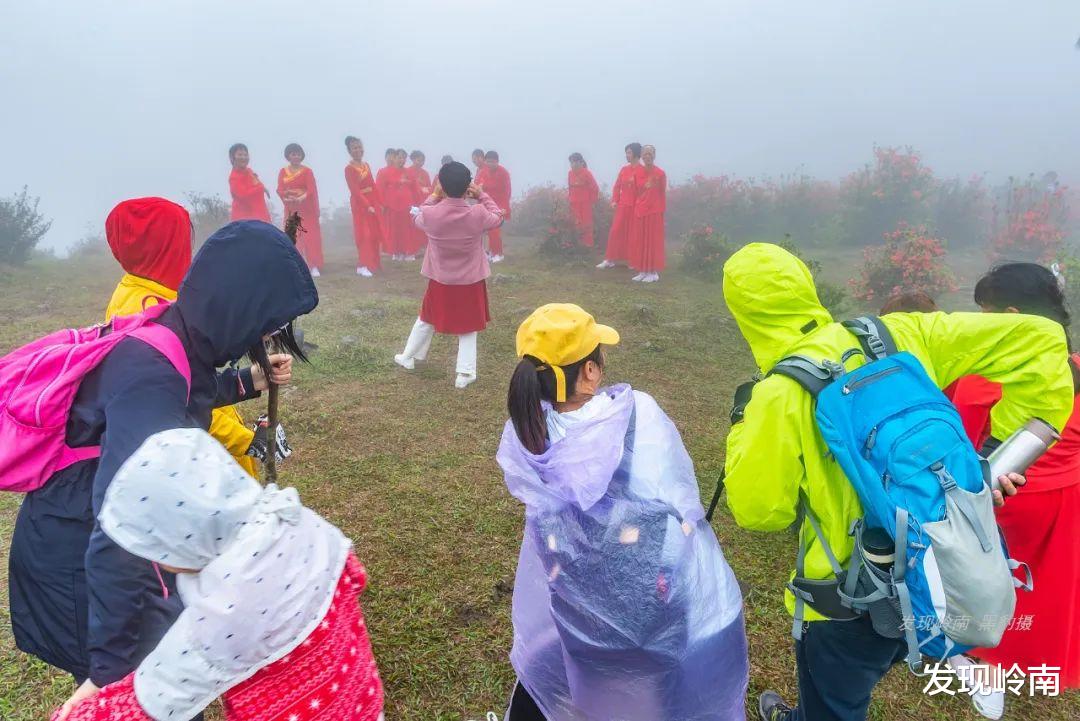 |广东天露山杜鹃花即将盛开，这里是最新徒步赏花攻略！