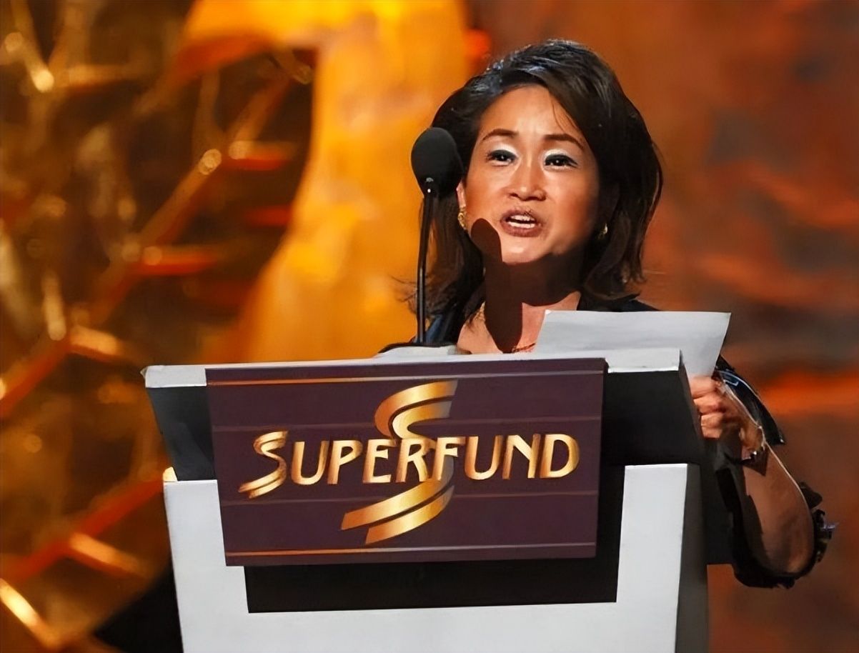 三星|韩流教母李美敬:三星废太子之女,手握市值240亿公司,力捧汤唯