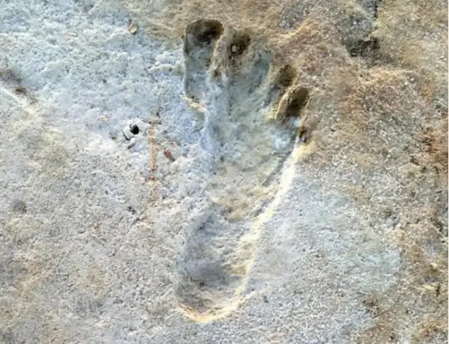 美国沙漠惊现1.2万年前远古人类脚印,下雨天出现,天晴却消失