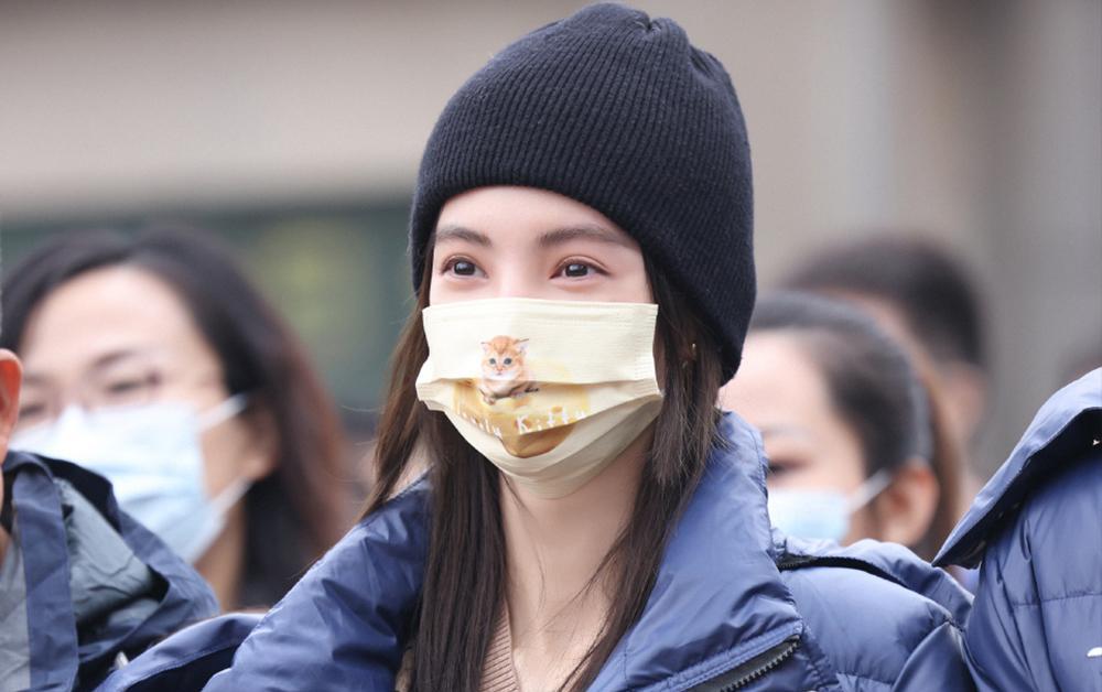 金晨|白敬亭金晨新剧开机，导演郑晓龙，檀健次王劲松加盟，班底太强大