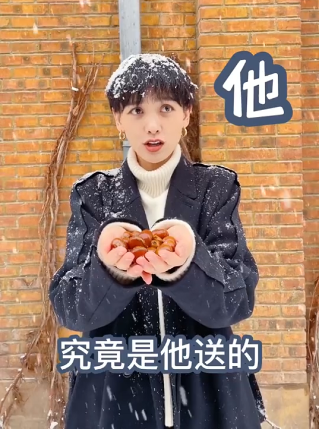 李晓峰|刘恺威女友李晓峰晒苗条美照力破怀孕传闻,与杨幂同款大衣引热议